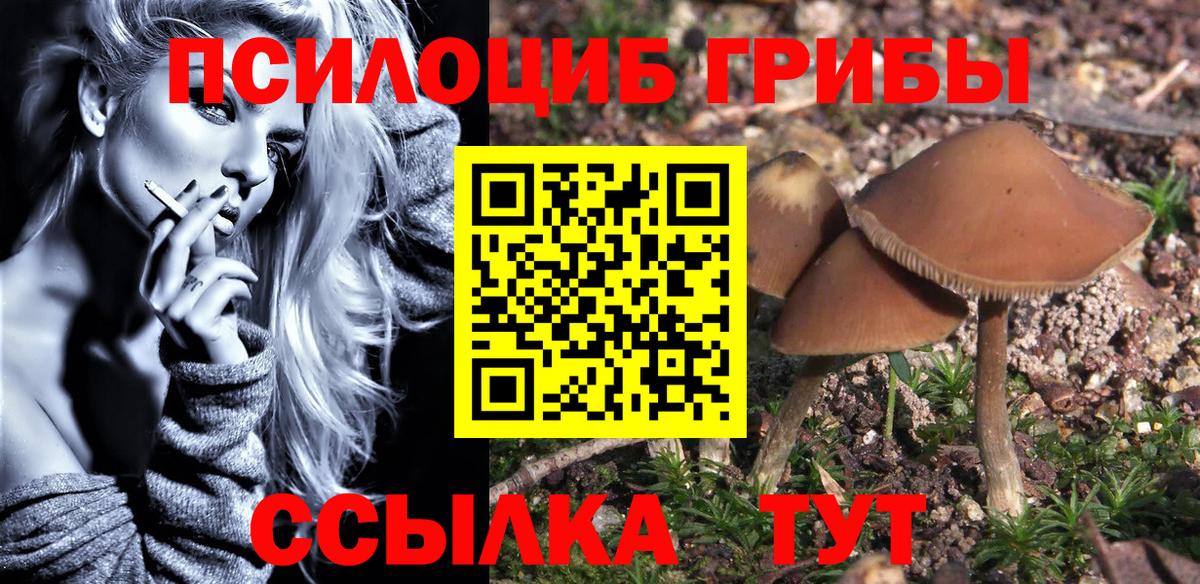Псилоцибиновые грибы GOLDEN TEACHER  Вход с VPN  Новочеркасск 