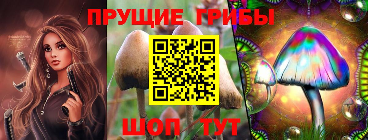 Псилоцибиновые грибы Magic Shrooms Новочеркасск